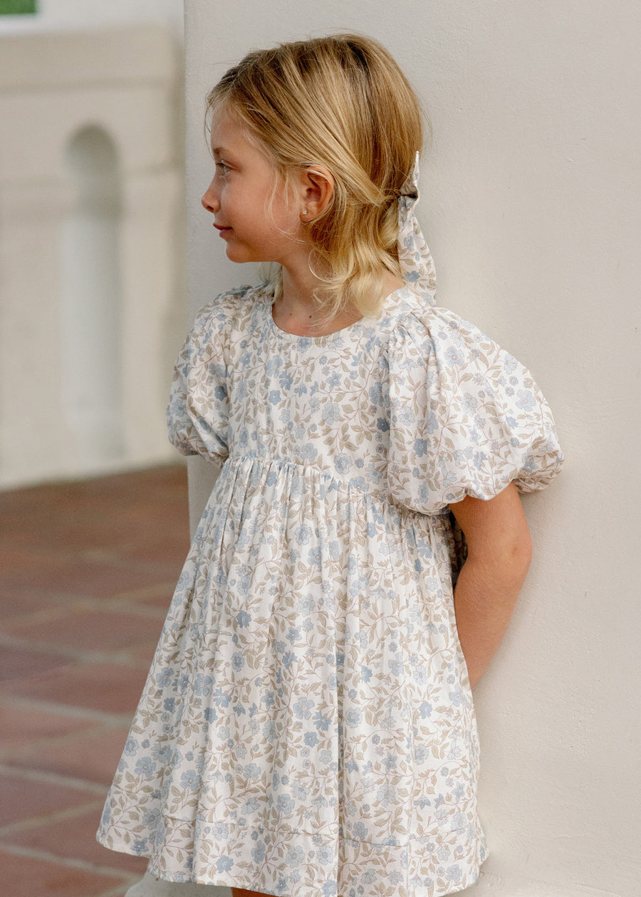 LUNA BLUE GARDEN DRESS