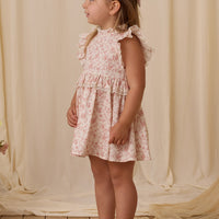 ALICE PINK TOILE DRESS