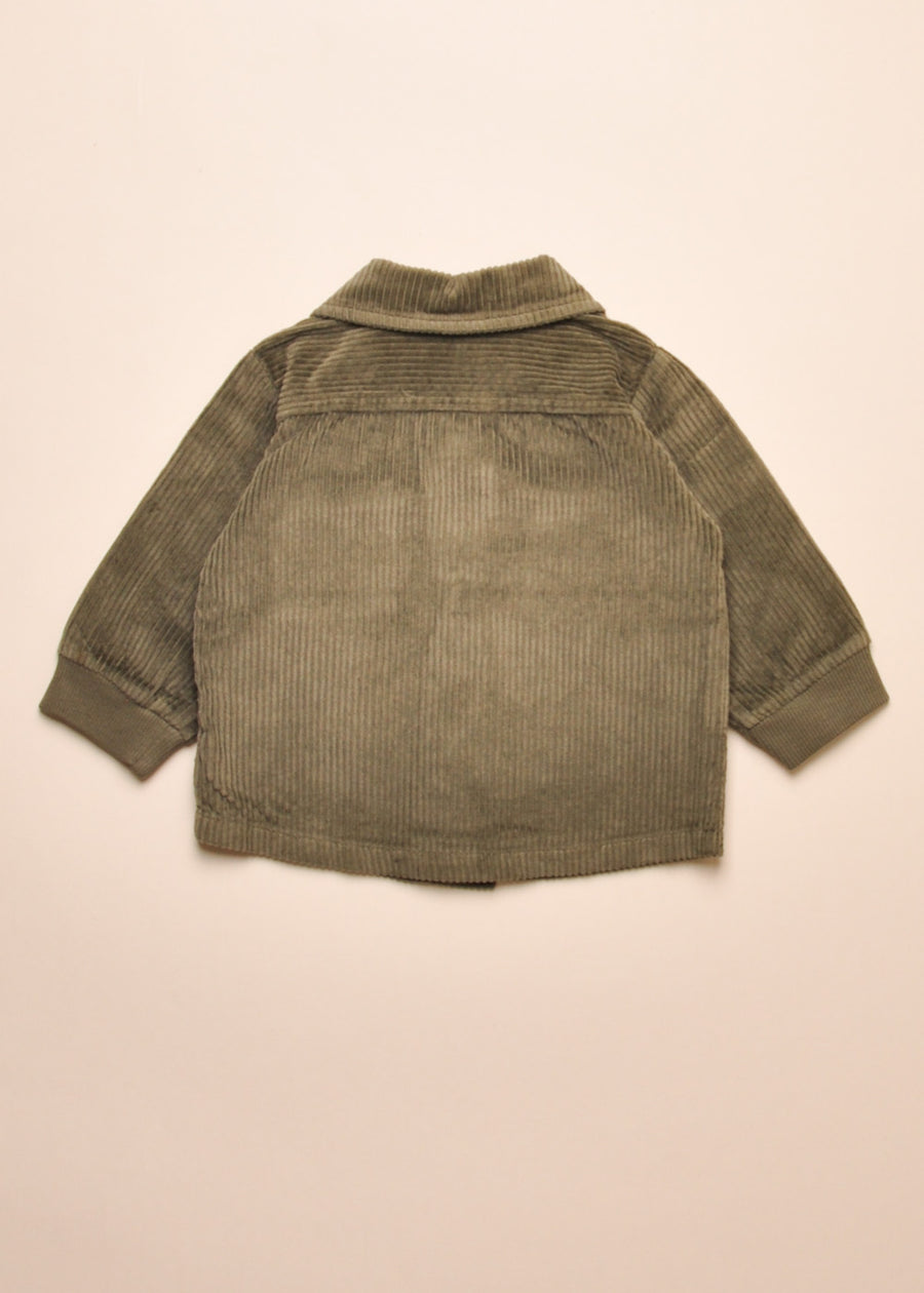 PELAI BUTTON DOWN - OLIVE