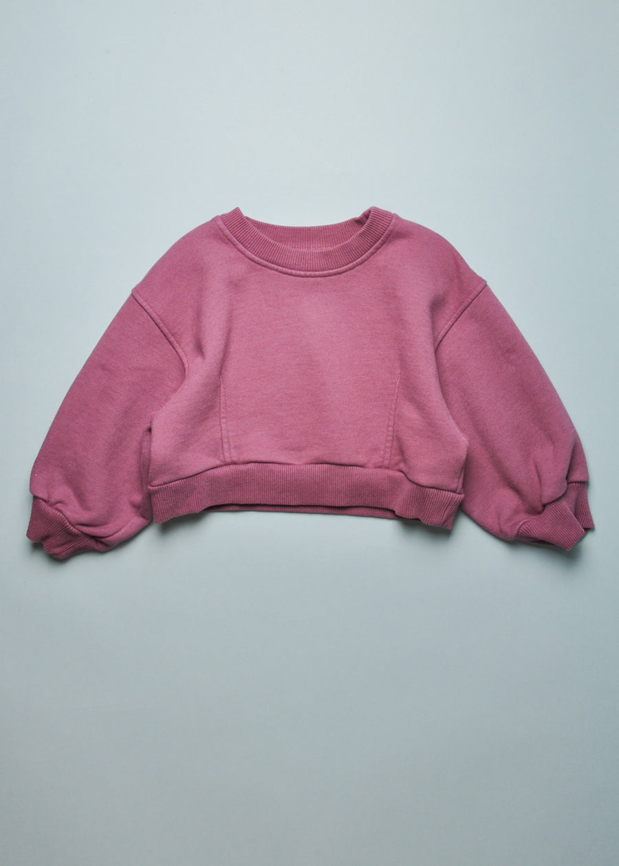 VELAN CROPPED SWEATSHIRT