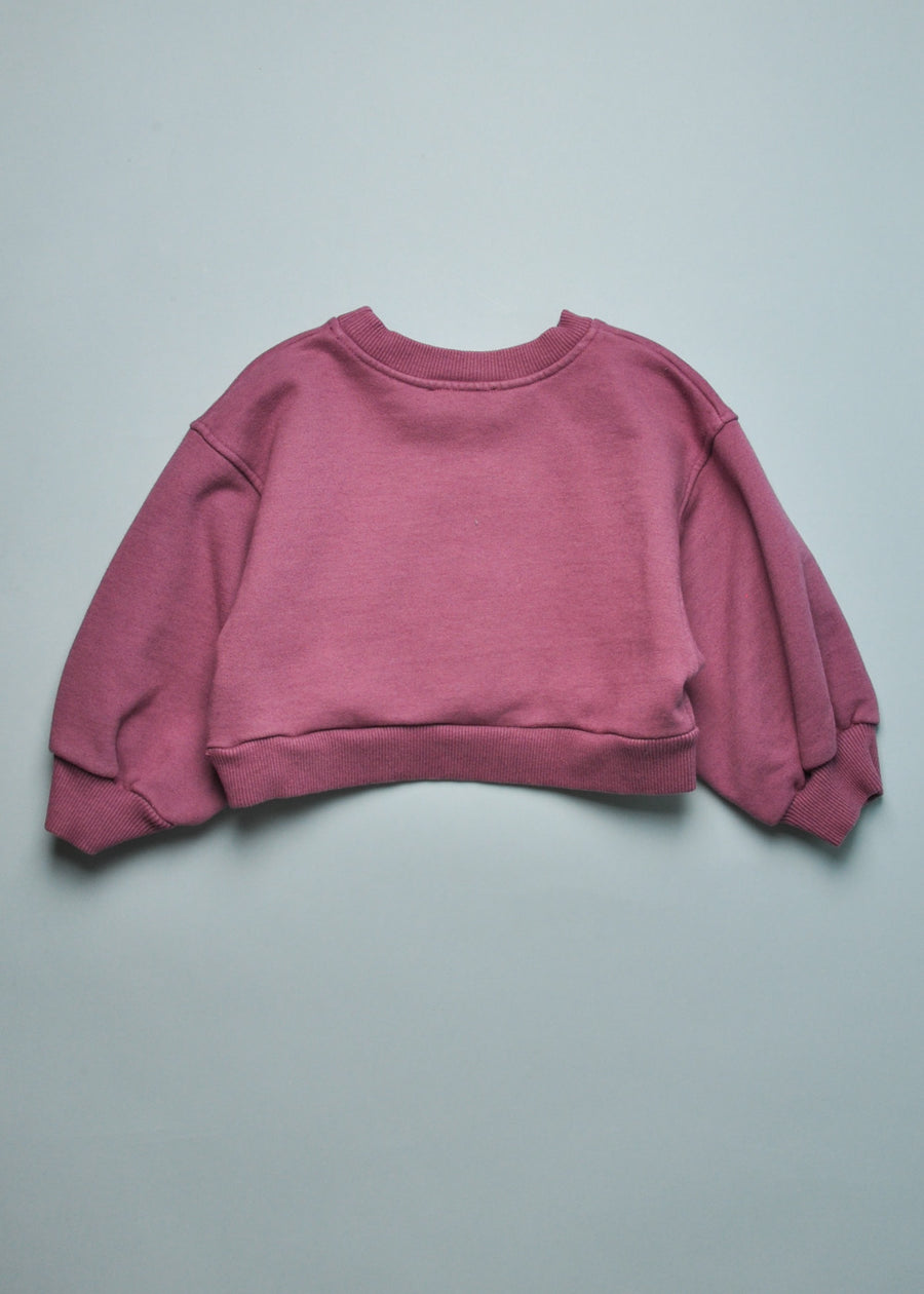 VELAN CROPPED SWEATSHIRT