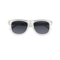 POLARIZED WAYFARER SUNGLASSES - CLEAR