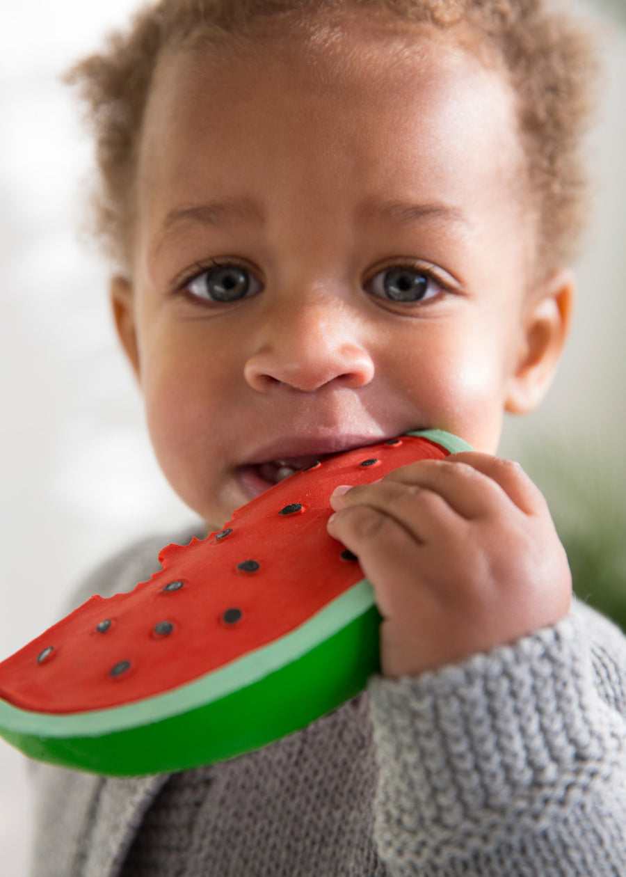 WALLY THE WATERMELON TEETHER