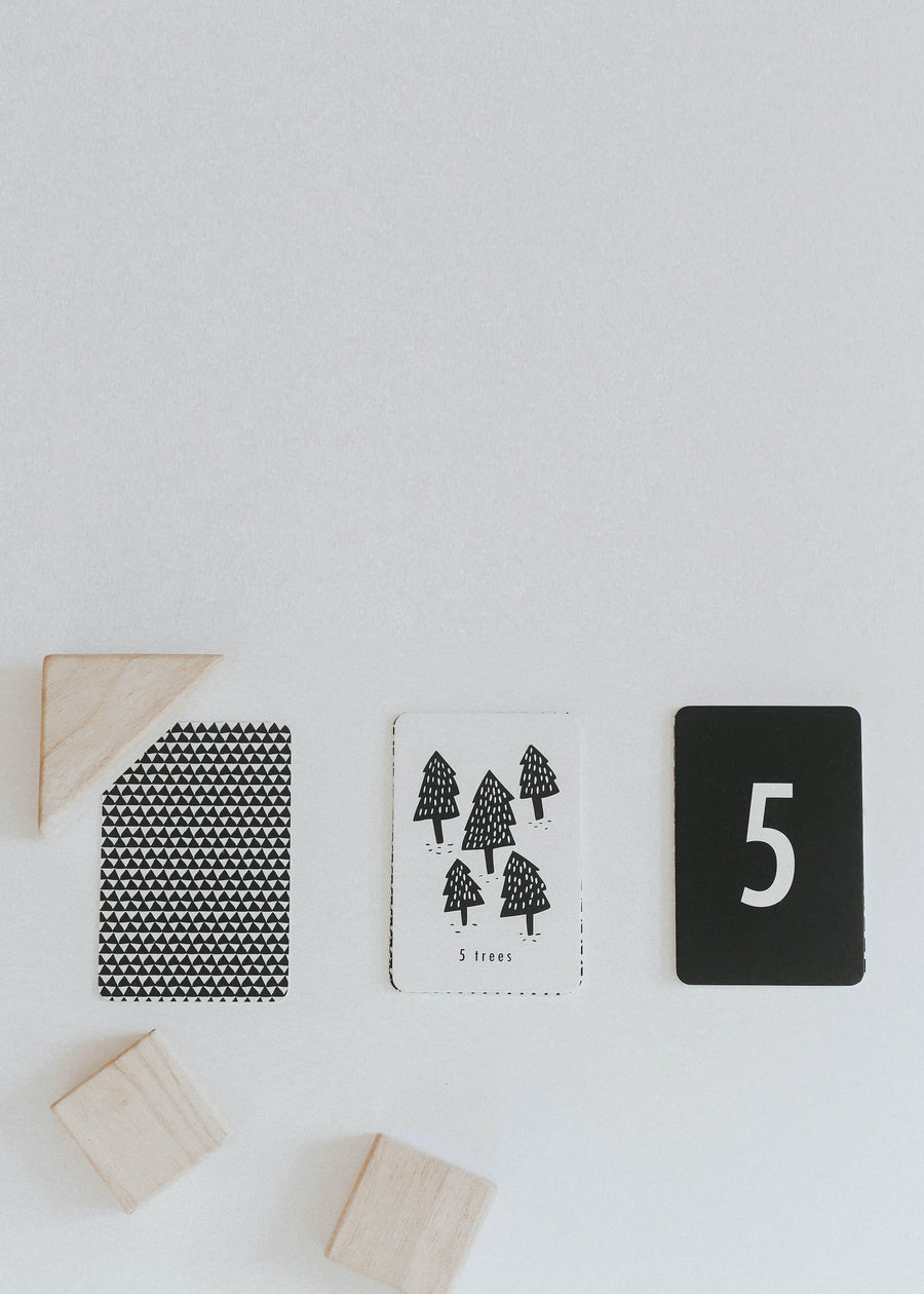 NATURE NUMBER CARDS